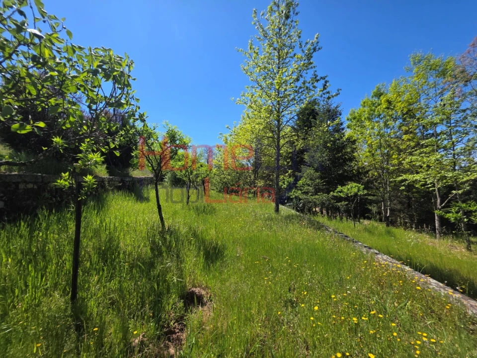 Terreno para Venda em Mangualde, Mesquitela e Cunha Alta Foto 34