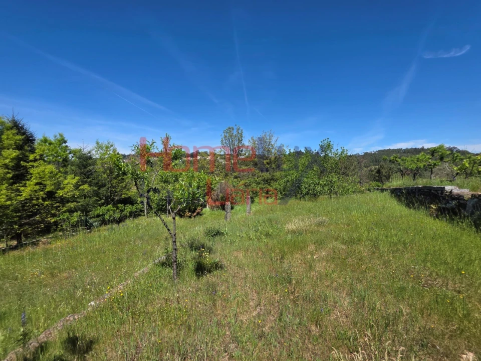 Terreno para Venda em Mangualde, Mesquitela e Cunha Alta Foto 36
