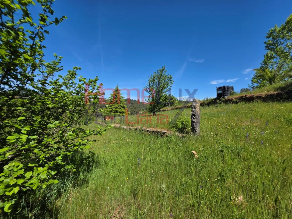 Terreno para Venda em Mangualde, Mesquitela e Cunha Alta Foto 38