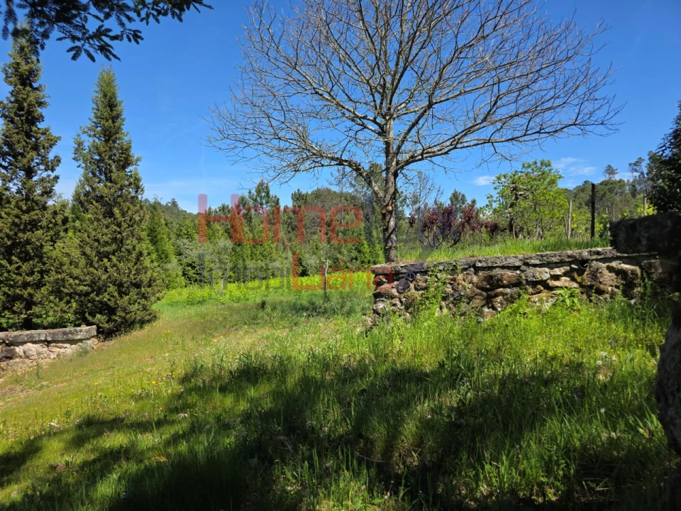 Terreno para Venda em Mangualde, Mesquitela e Cunha Alta Foto 39