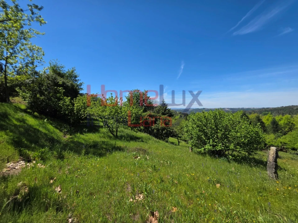 Terreno para Venda em Mangualde, Mesquitela e Cunha Alta Foto 40