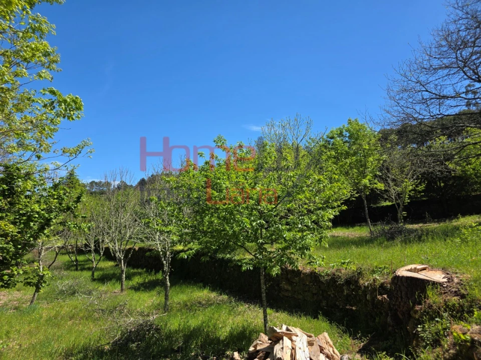 Terreno para Venda em Mangualde, Mesquitela e Cunha Alta Foto 41