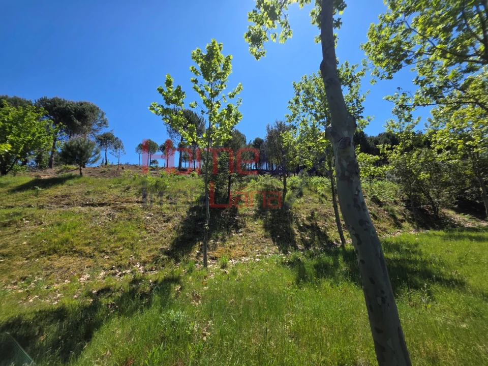 Terreno para Venda em Mangualde, Mesquitela e Cunha Alta Foto 42