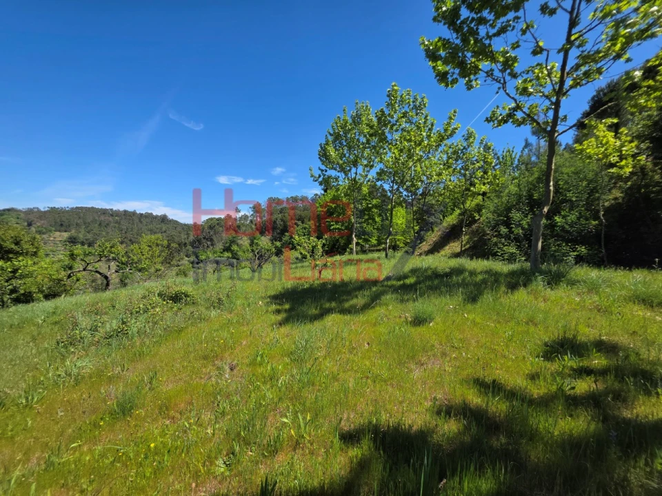 Terreno para Venda em Mangualde, Mesquitela e Cunha Alta Foto 44