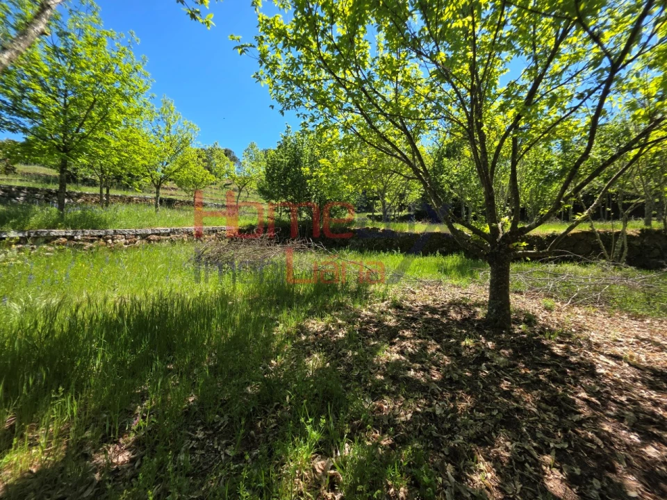 Terreno para Venda em Mangualde, Mesquitela e Cunha Alta Foto 45