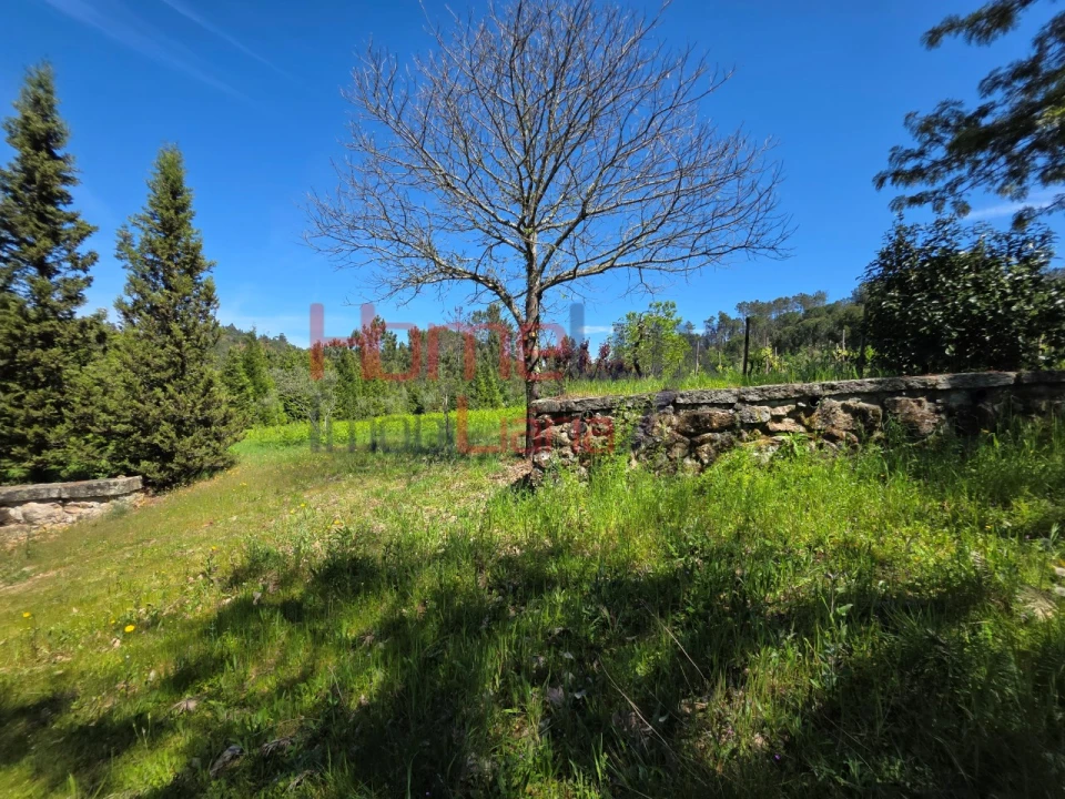 Terreno para Venda em Mangualde, Mesquitela e Cunha Alta Foto 48