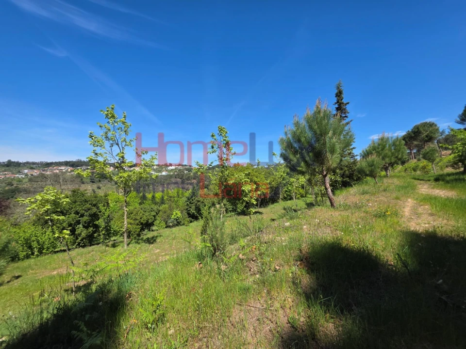 Terreno para Venda em Mangualde, Mesquitela e Cunha Alta Foto 51