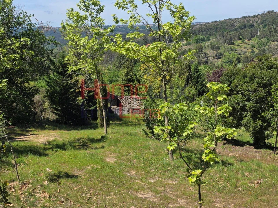 Terreno para Venda em Mangualde, Mesquitela e Cunha Alta Foto 52