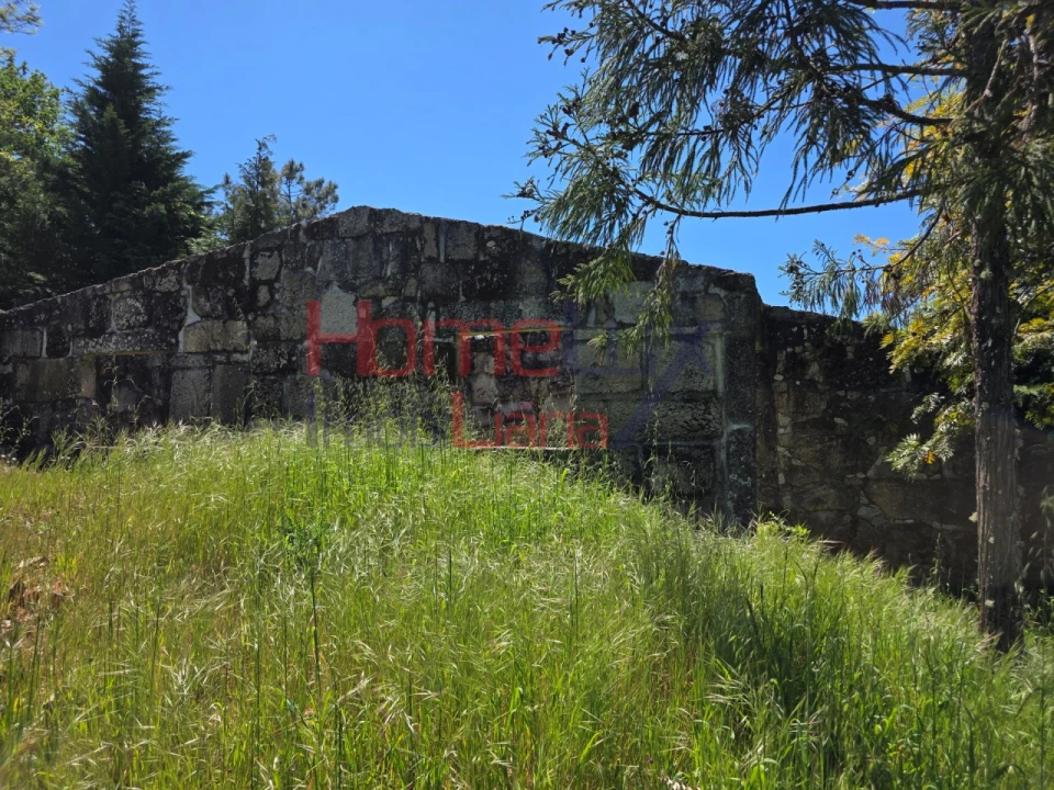 Terreno para Venda em Mangualde, Mesquitela e Cunha Alta Foto 54