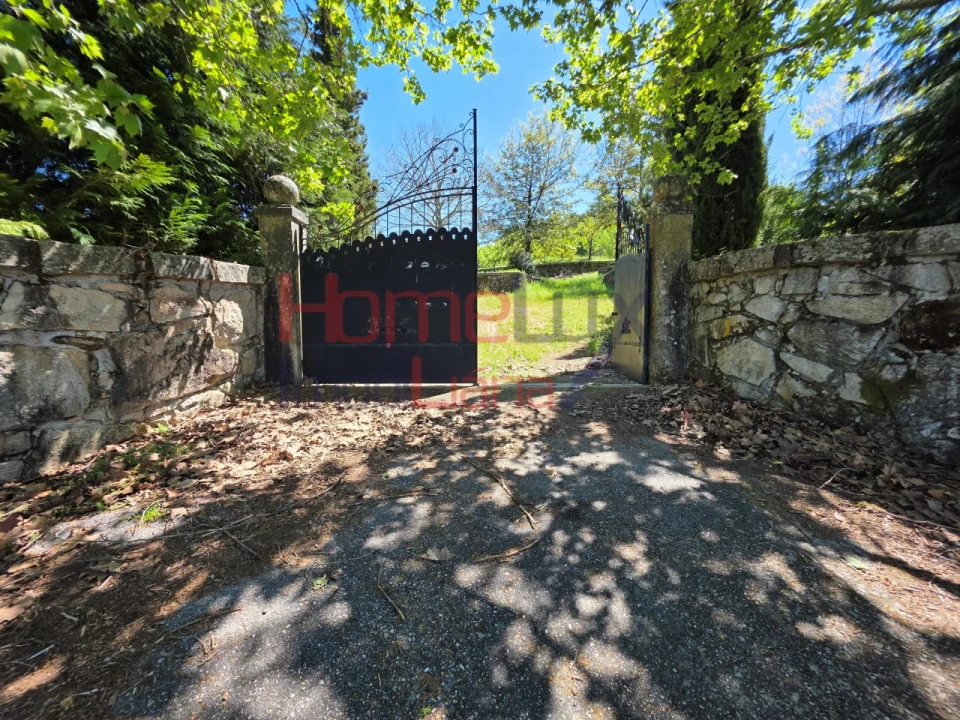 Terreno para Venda em Mangualde, Mesquitela e Cunha Alta Foto 56