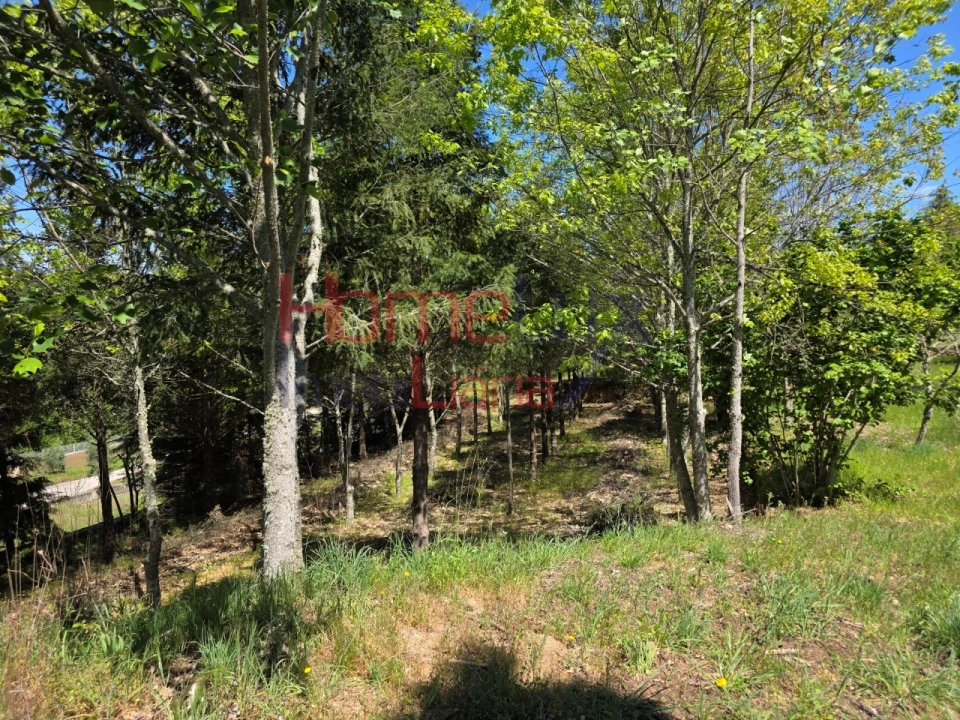 Terreno para Venda em Mangualde, Mesquitela e Cunha Alta Foto 57