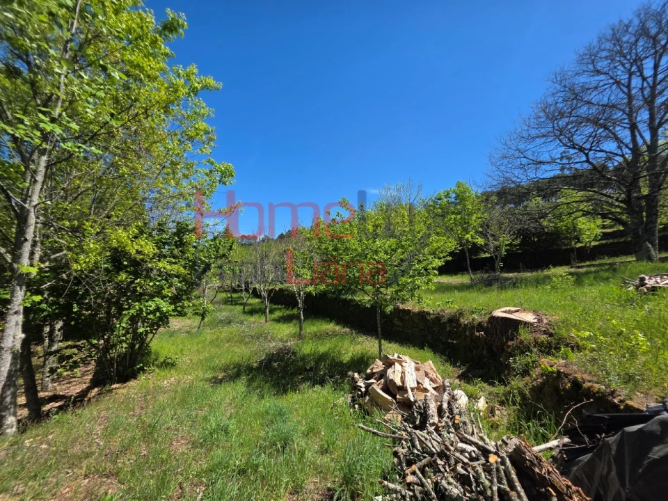 Terreno para Venda em Mangualde, Mesquitela e Cunha Alta Foto 58