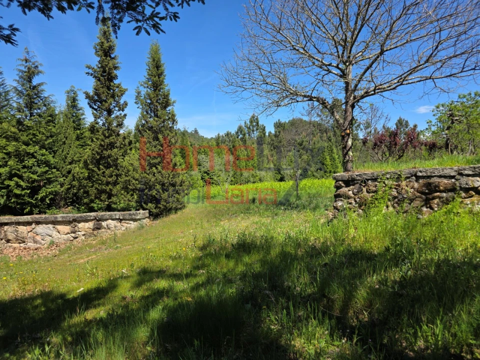 Terreno para Venda em Mangualde, Mesquitela e Cunha Alta Foto 61