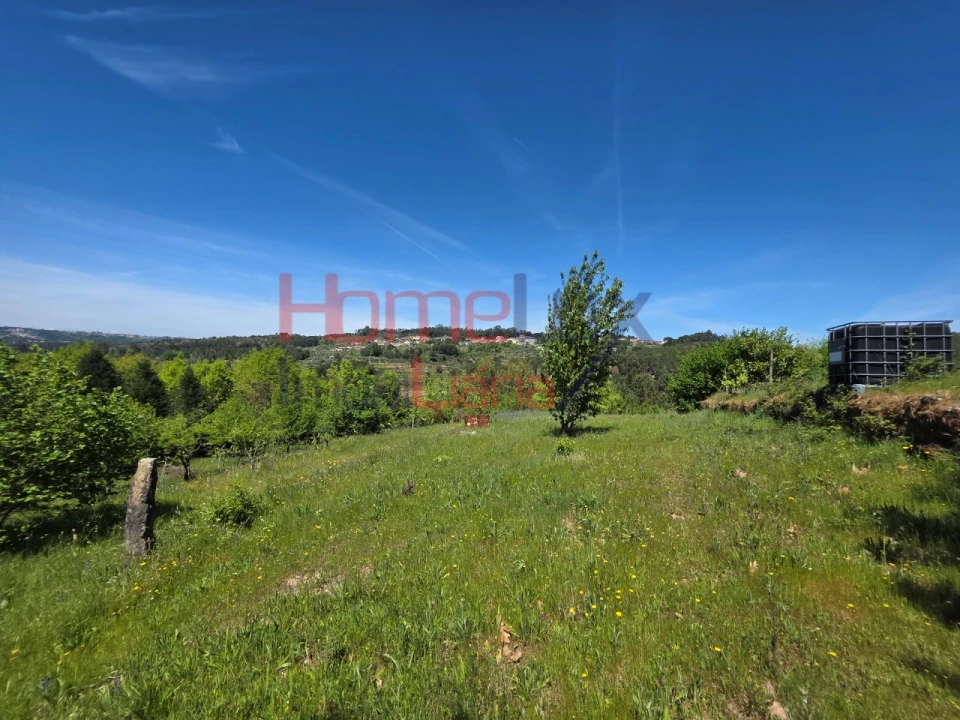 Terreno para Venda em Mangualde, Mesquitela e Cunha Alta Foto 62