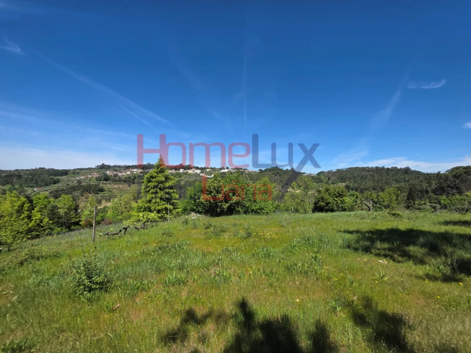 Terreno para Venda em Mangualde, Mesquitela e Cunha Alta Foto 66