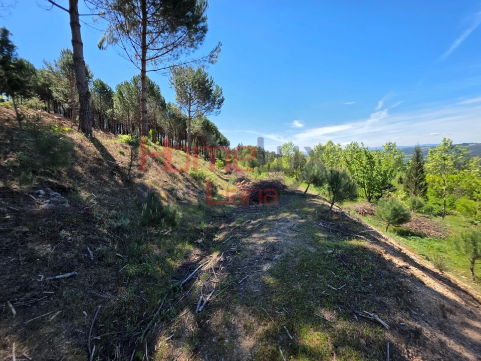Terreno para Venda em Mangualde, Mesquitela e Cunha Alta Foto 68