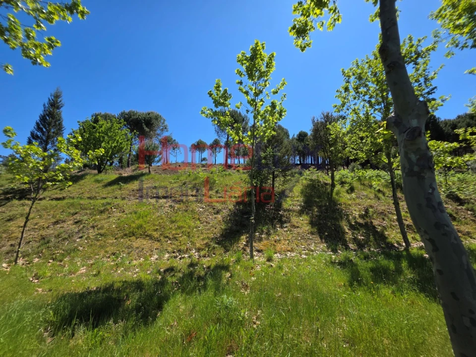 Terreno para Venda em Mangualde, Mesquitela e Cunha Alta Foto 69