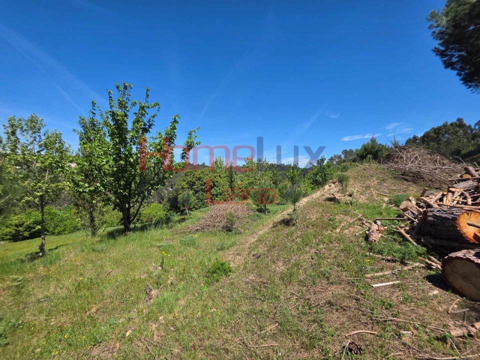 Terreno para Venda em Mangualde, Mesquitela e Cunha Alta Foto 70