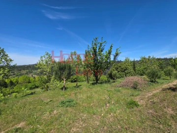 Terreno para Venda em Mangualde, Mesquitela e Cunha Alta