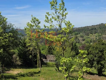 Terreno para Venda em Mangualde, Mesquitela e Cunha Alta