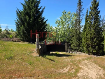 Terreno para Venda em Mangualde, Mesquitela e Cunha Alta
