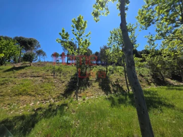 Terreno para Venda em Mangualde, Mesquitela e Cunha Alta