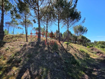 Terreno para Venda em Mangualde, Mesquitela e Cunha Alta
