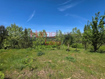 Terreno para Venda em Mangualde, Mesquitela e Cunha Alta