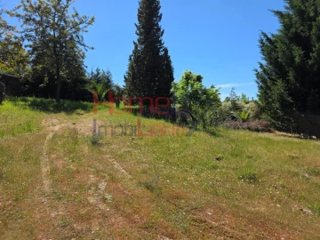 Terreno para Venda em Mangualde, Mesquitela e Cunha Alta