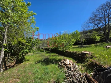 Terreno para Venda em Mangualde, Mesquitela e Cunha Alta