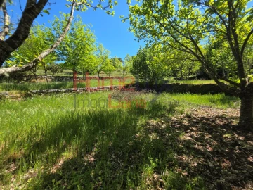 Terreno para Venda em Mangualde, Mesquitela e Cunha Alta