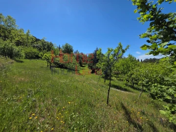 Terreno para Venda em Mangualde, Mesquitela e Cunha Alta
