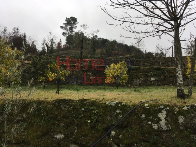 Terreno para Venda em Mangualde, Mesquitela e Cunha Alta Foto 8