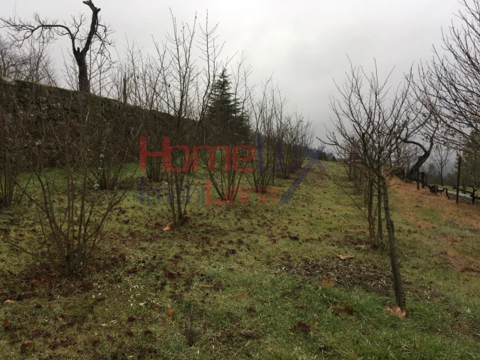 Terreno para Venda em Mangualde, Mesquitela e Cunha Alta Foto 12