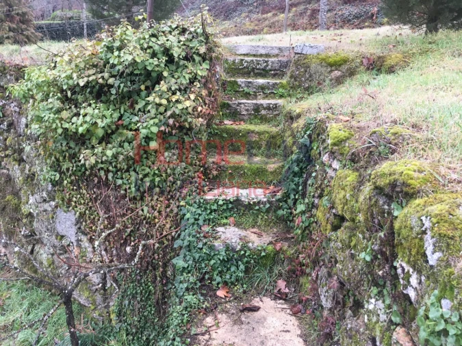 Terreno para Venda em Mangualde, Mesquitela e Cunha Alta Foto 15