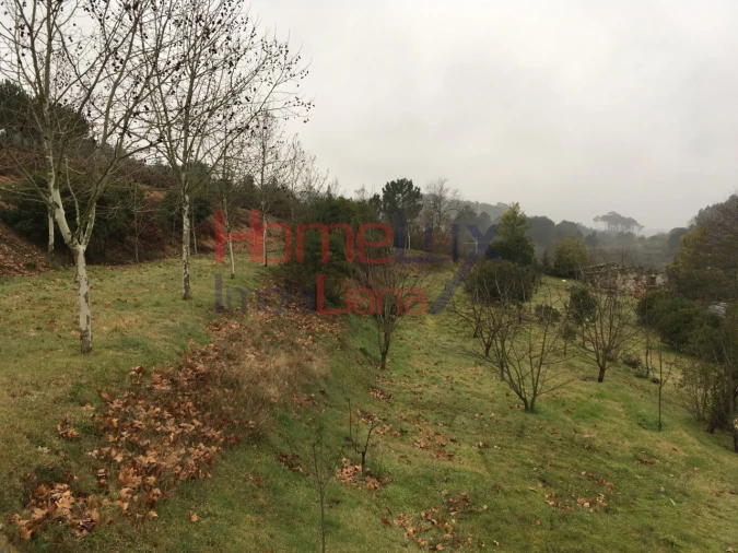 Terreno para Venda em Mangualde, Mesquitela e Cunha Alta Foto 17