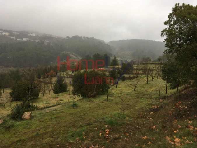 Terreno para Venda em Mangualde, Mesquitela e Cunha Alta Foto 19