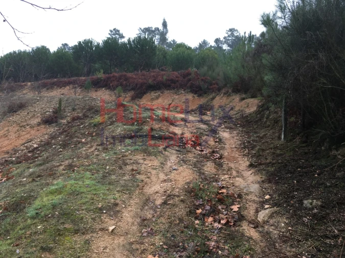 Terreno para Venda em Mangualde, Mesquitela e Cunha Alta Foto 20