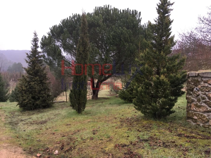 Terreno para Venda em Mangualde, Mesquitela e Cunha Alta Foto 23
