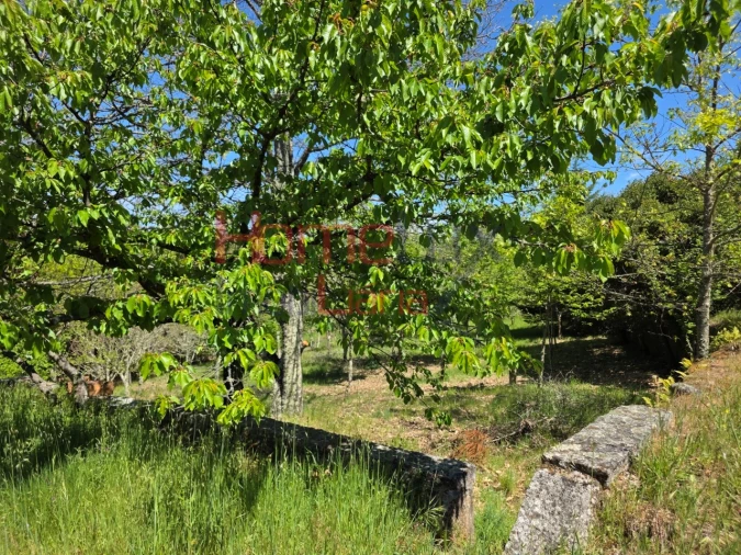 Terreno para Venda em Mangualde, Mesquitela e Cunha Alta Foto 28
