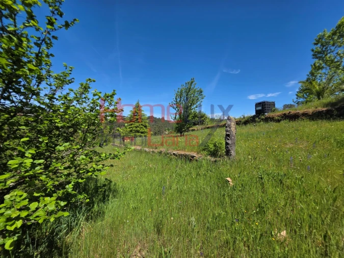 Terreno para Venda em Mangualde, Mesquitela e Cunha Alta Foto 38
