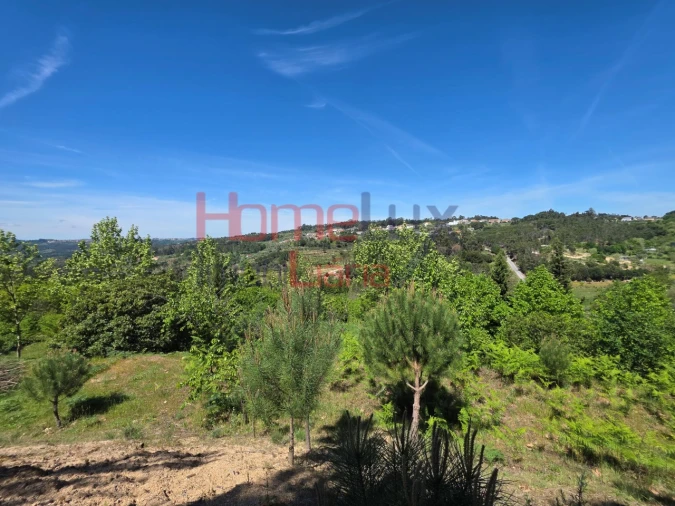 Terreno para Venda em Mangualde, Mesquitela e Cunha Alta Foto 46