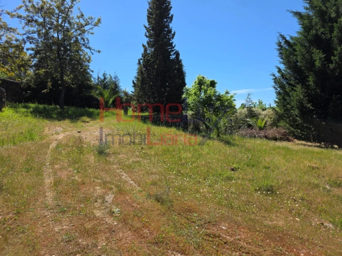Terreno para Venda em Mangualde, Mesquitela e Cunha Alta Foto 55