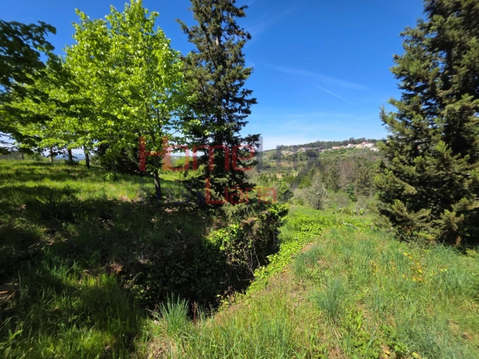 Terreno para Venda em Mangualde, Mesquitela e Cunha Alta Foto 71