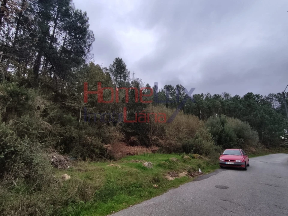 Terreno para Venda em Castro Daire Foto 4