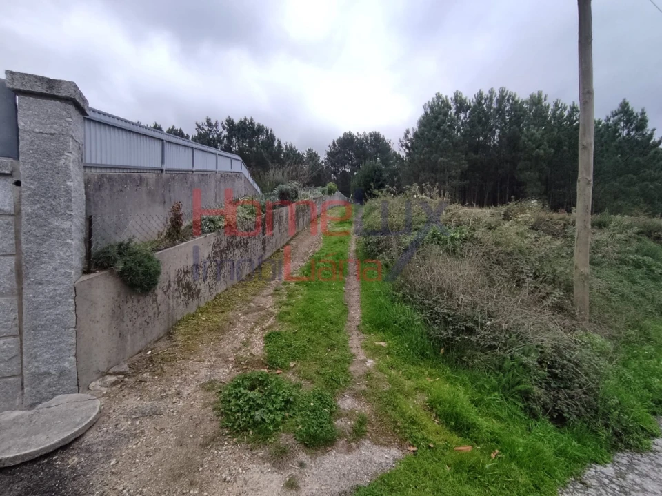 Terreno para Venda em Castro Daire Foto 5