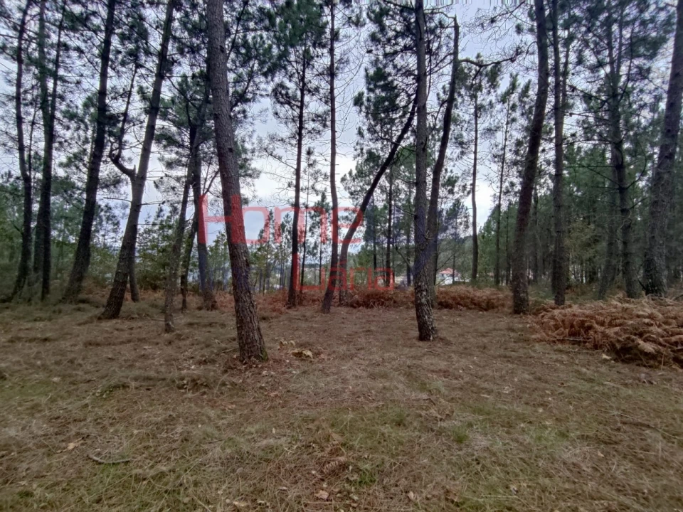 Terreno para Venda em Castro Daire Foto 8