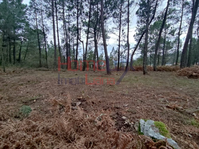 Terreno para Venda em Castro Daire Foto 7