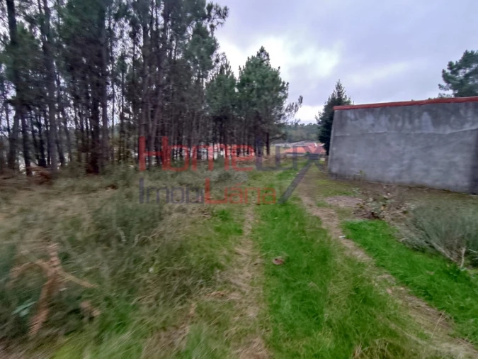 Terreno para Venda em Castro Daire Foto 11