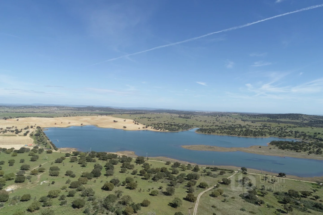 Terreno para Venda em Alcaçovas Foto 1